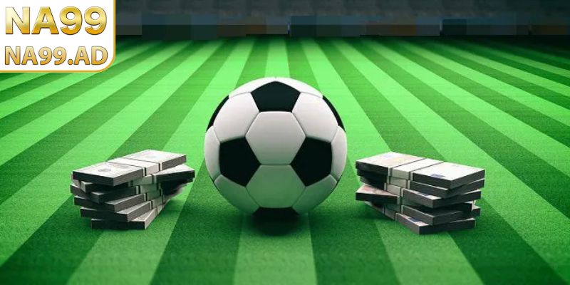 Đánh giá hiệu quả thi đấu dựa trên lợi thế địa phương