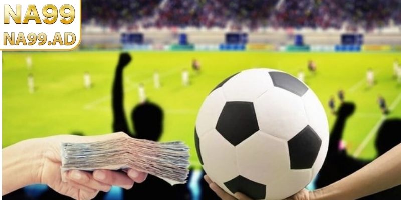 Hướng dẫn nhận biết tỷ lệ và biến động trận đấu