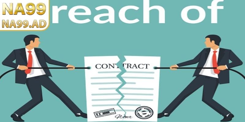 Hướng dẫn thực hiện đúng bước, bảo vệ quyền lợi và hạn chế rủi ro